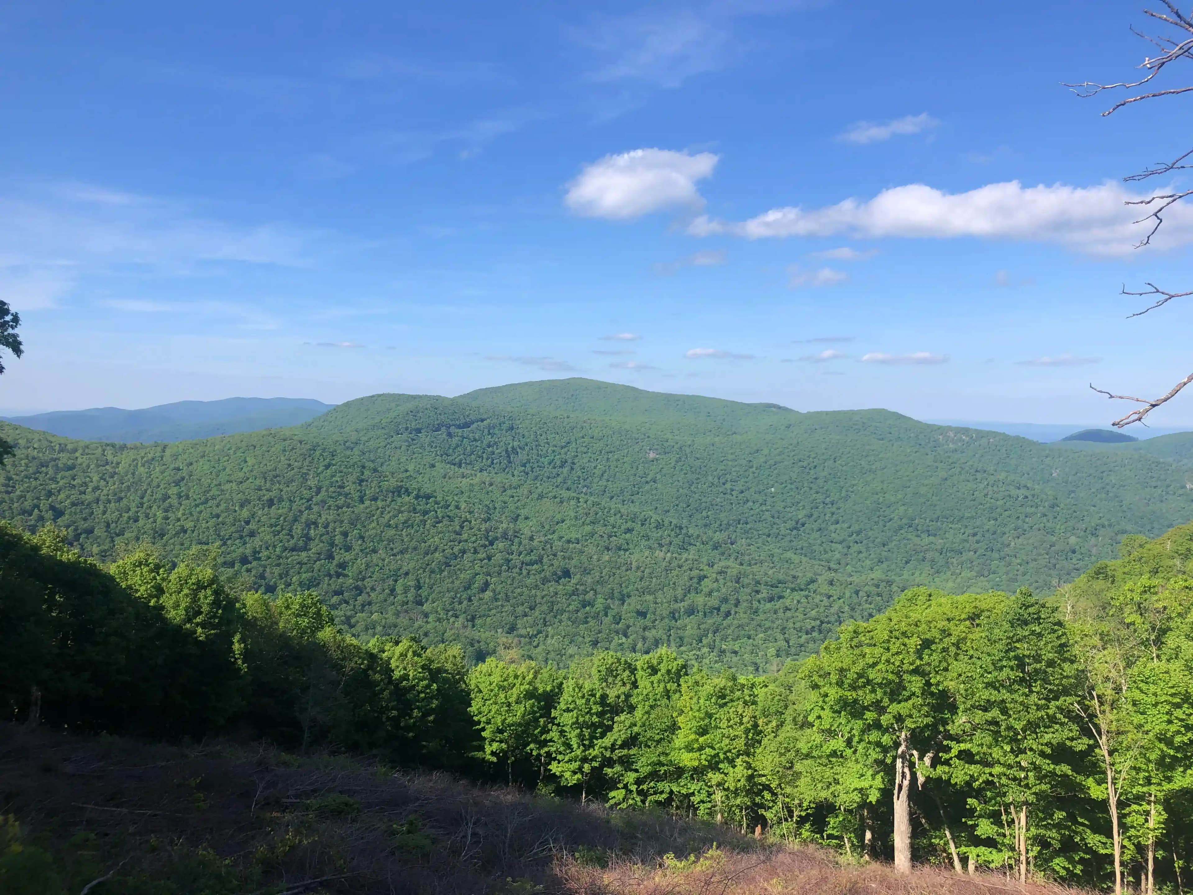 Blue Ridge Mountains in the Shenandoah National Park