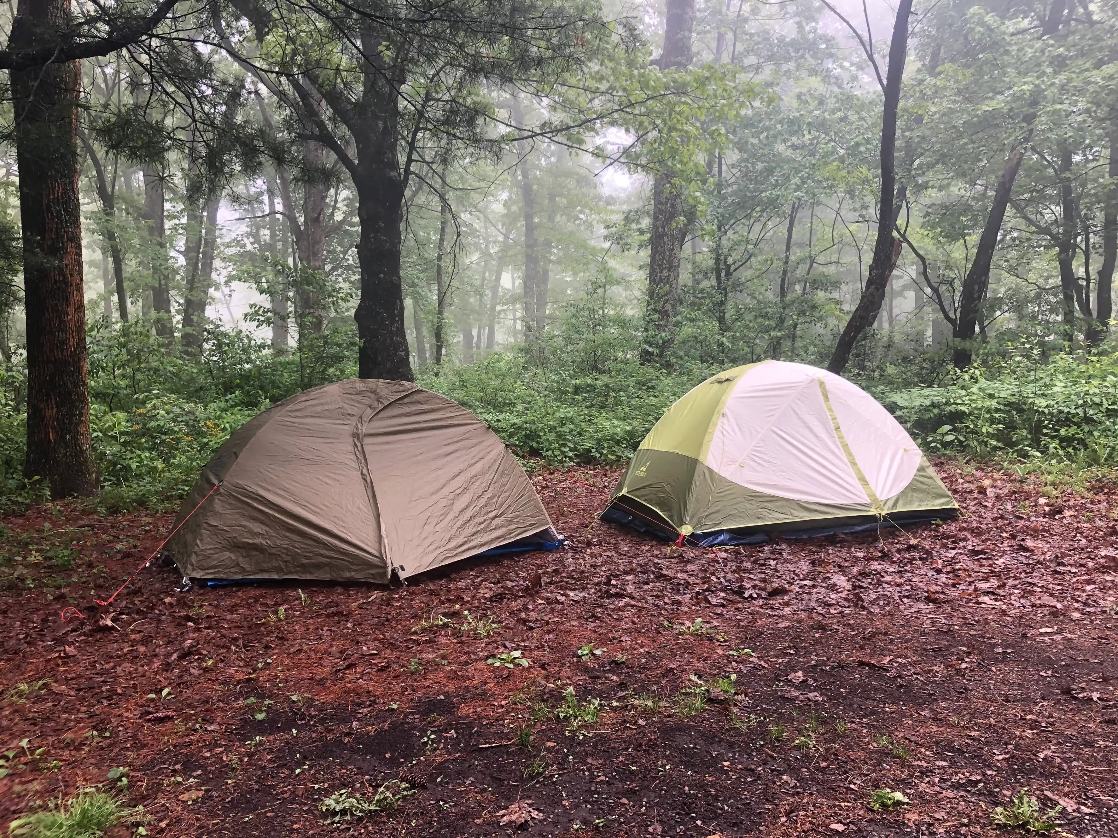 two tents setup at a campsite within the park in the early morning fog