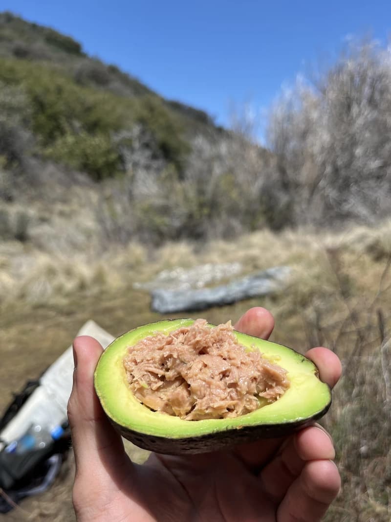 a tasty full loaded avocado for the trail