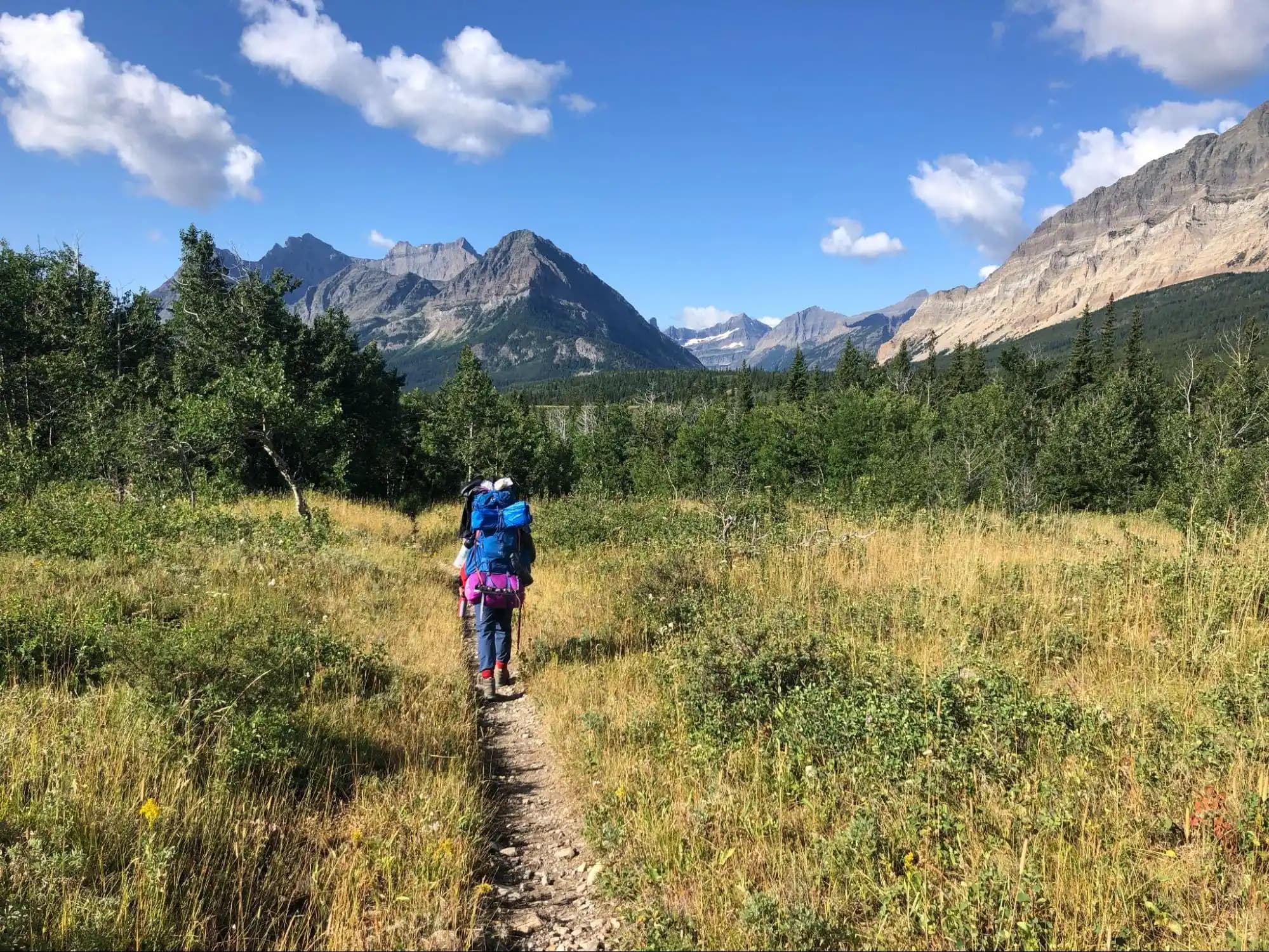 a hiker walking down a grassy trail at Glacier national park.