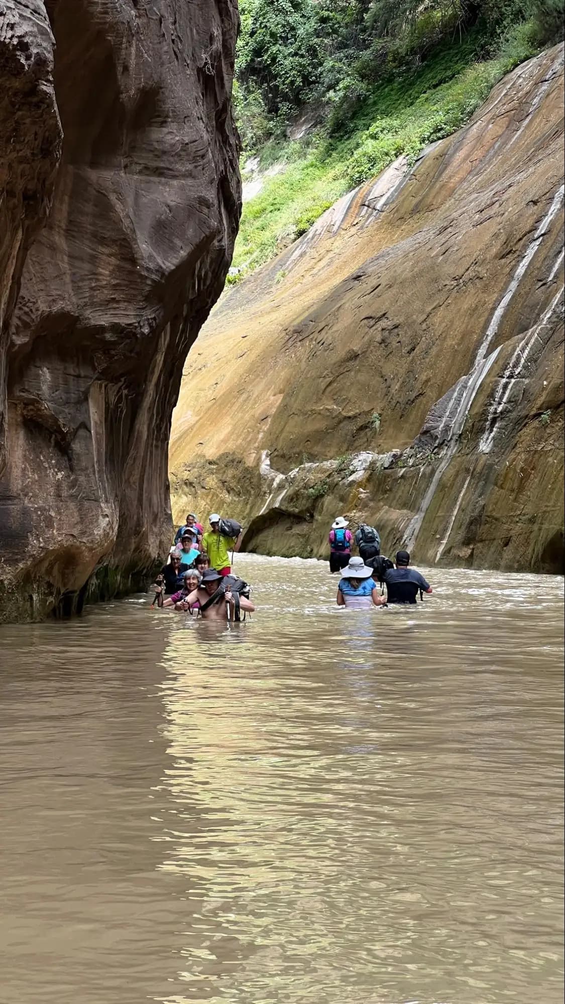 people trekking through chest deep water in the Narrows.