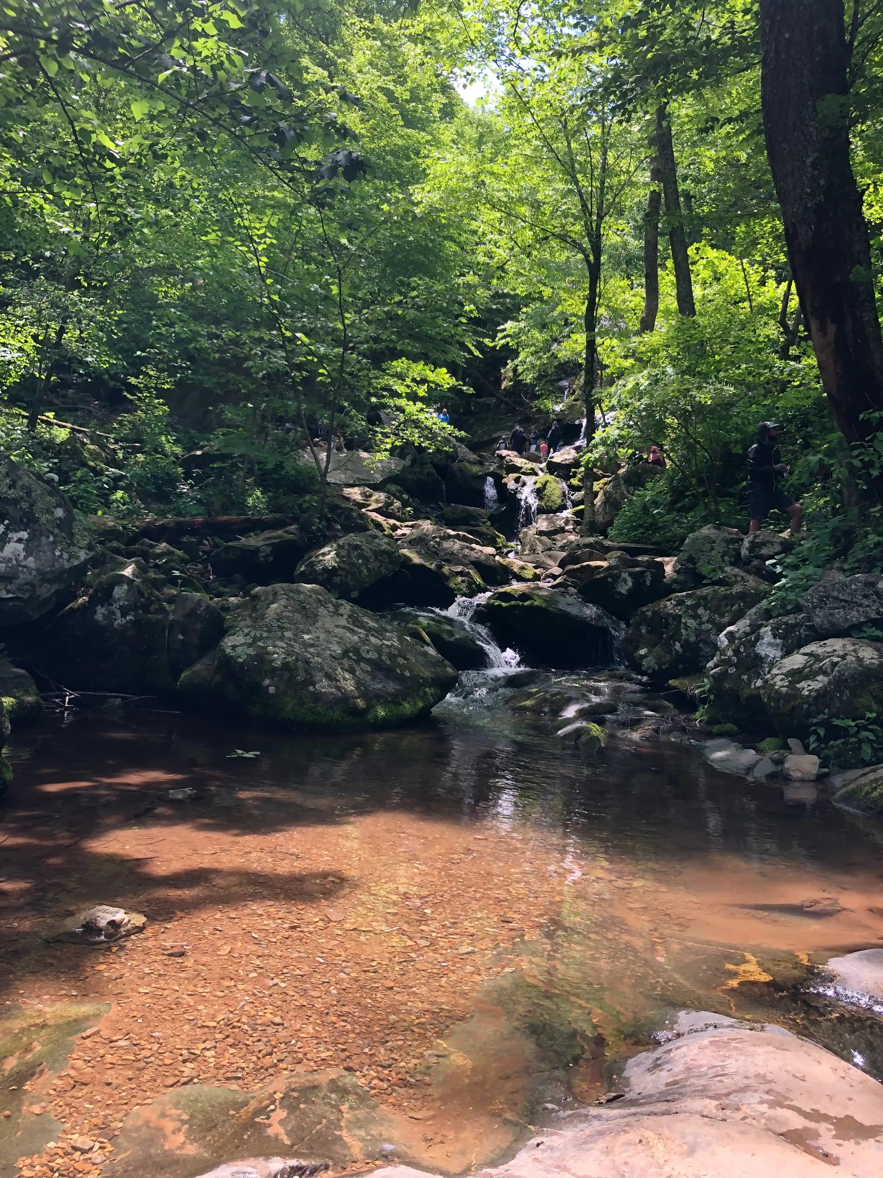 a small stream on the shenandoah river